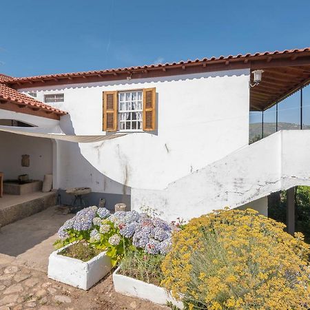 Quinta Do Acipreste لاميغو المظهر الخارجي الصورة