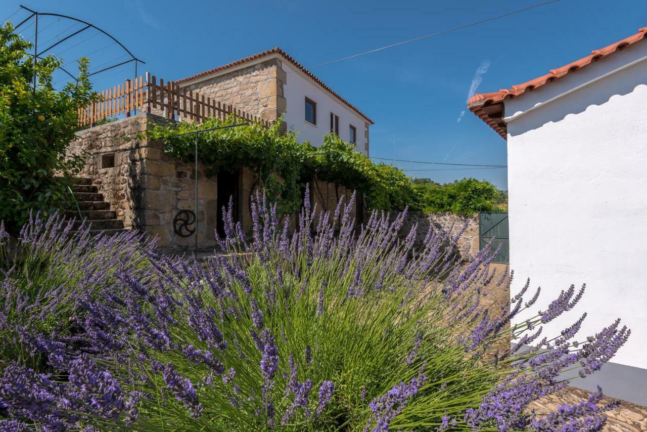 Quinta Do Acipreste لاميغو المظهر الخارجي الصورة