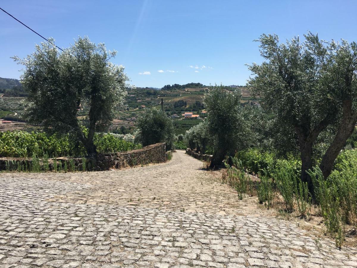 Quinta Do Acipreste لاميغو المظهر الخارجي الصورة