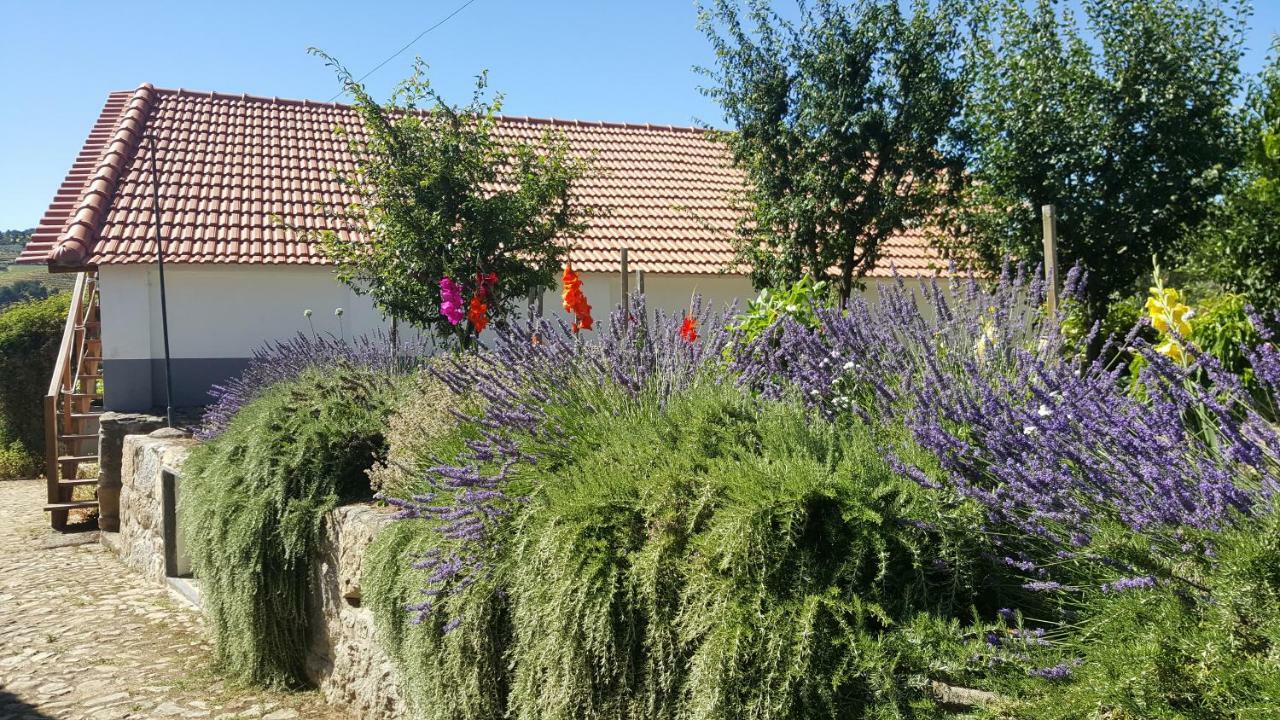 Quinta Do Acipreste لاميغو المظهر الخارجي الصورة