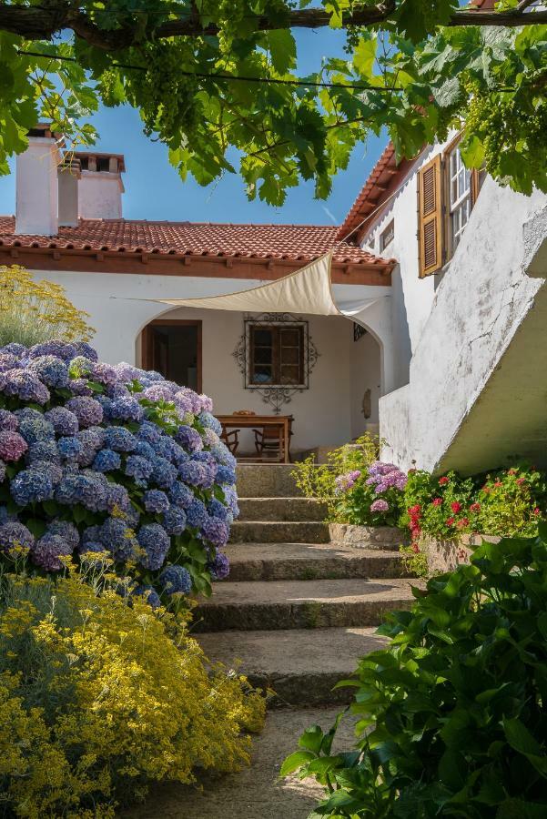 Quinta Do Acipreste لاميغو المظهر الخارجي الصورة