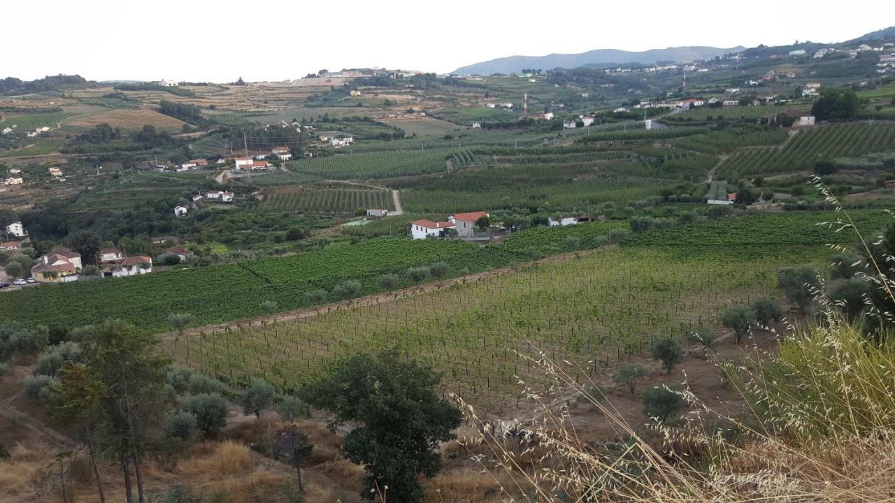Quinta Do Acipreste لاميغو المظهر الخارجي الصورة